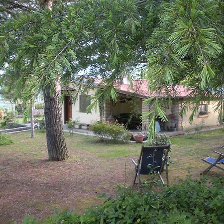 Le Stagioni Guest House Loreto Aprutino Bagian luar foto