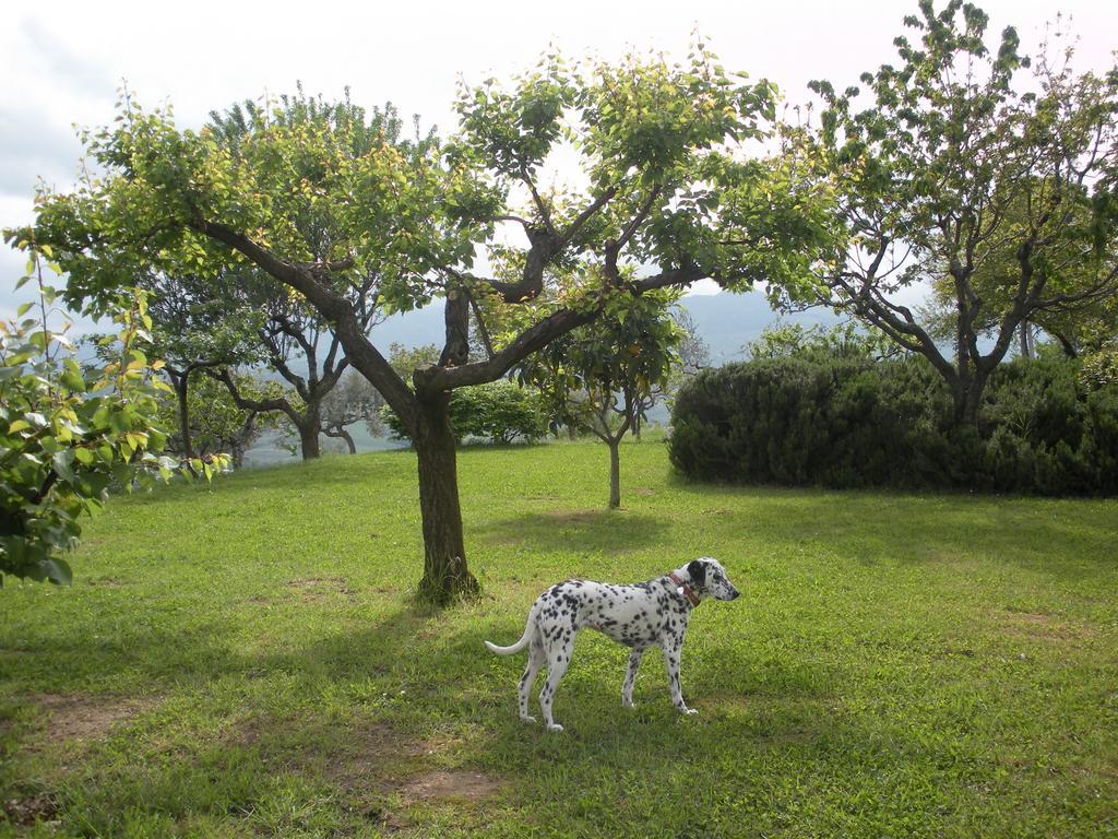 Le Stagioni Guest House Loreto Aprutino Bagian luar foto